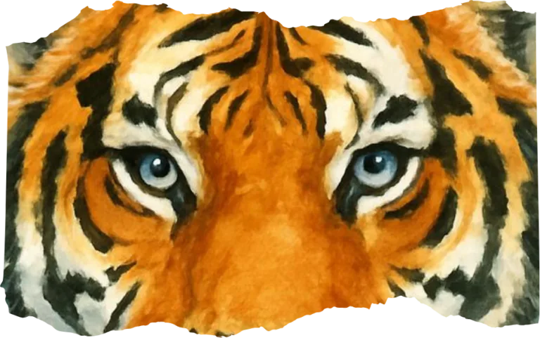 Tiger Day