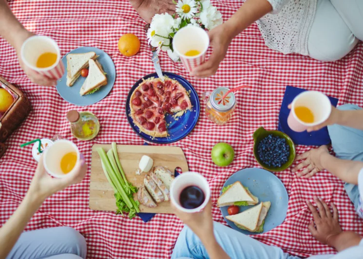 national eat outside day picnic spread