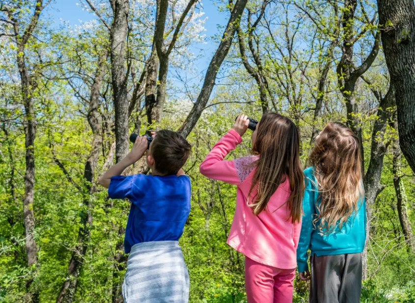 photo of three children with binoculars observing trees