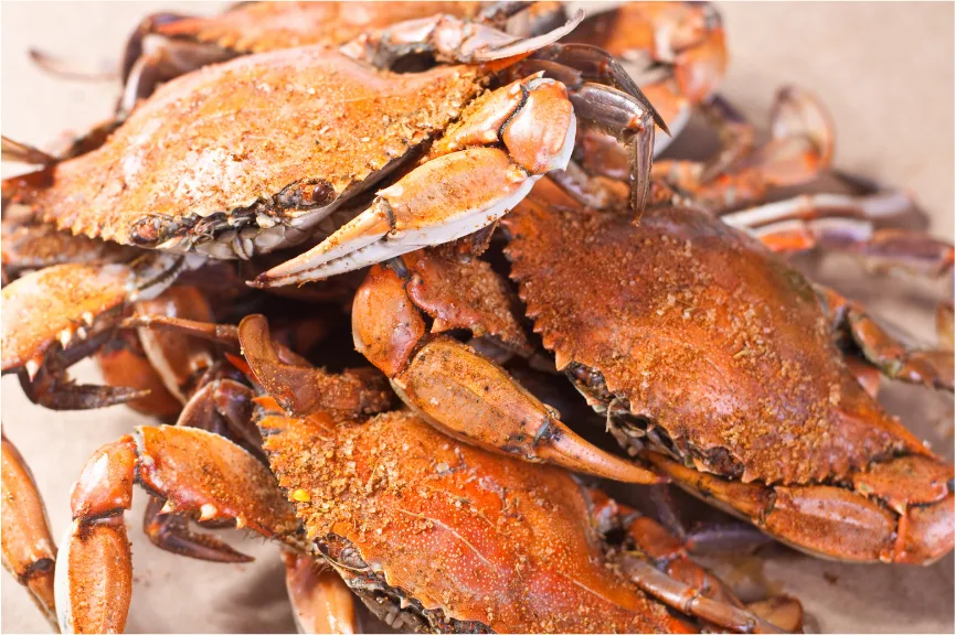steamed crabs - maryland food