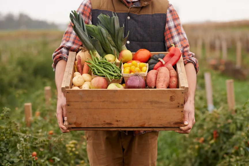 farm to table
