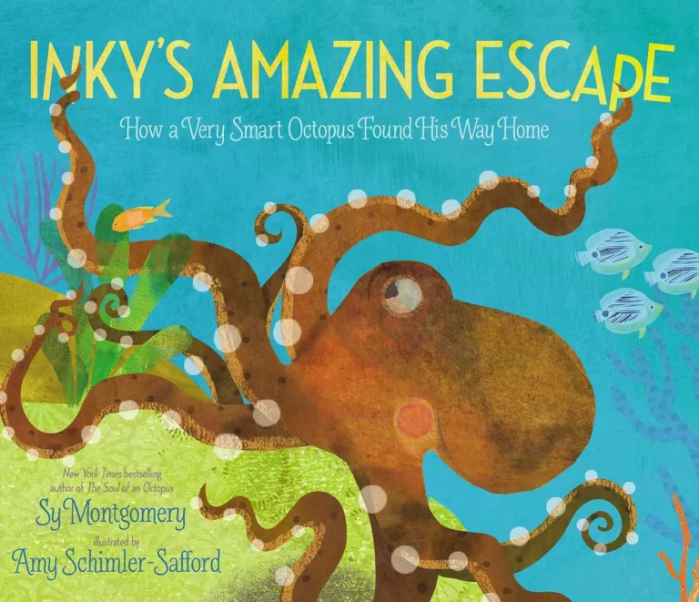 book cover of Inky's Amazing Escape