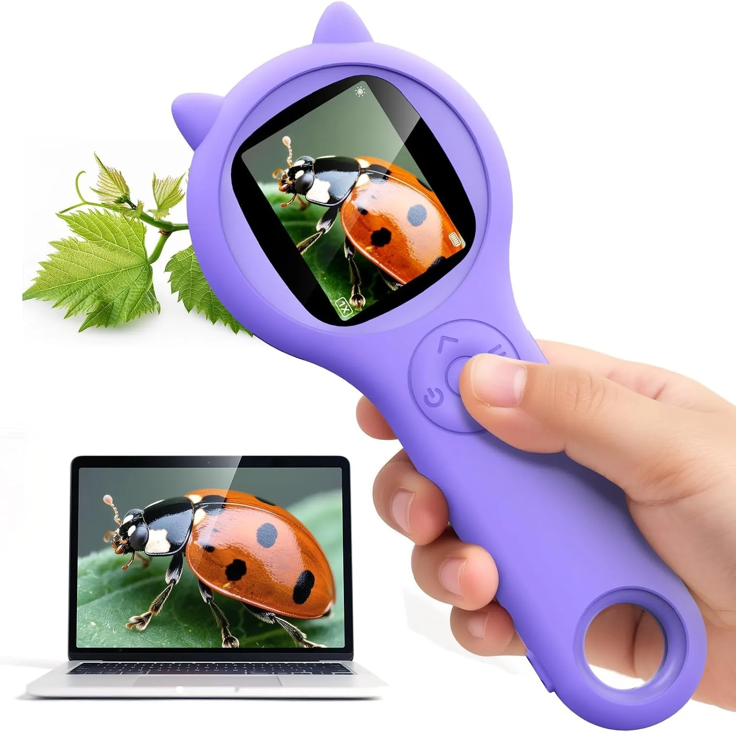 Microscope Magnifying Glass