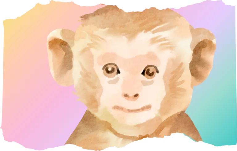 International Monkey Day