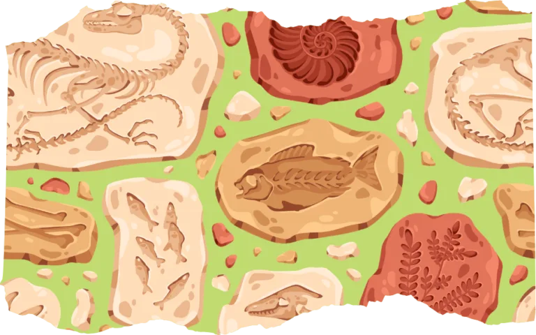 National Fossil Day