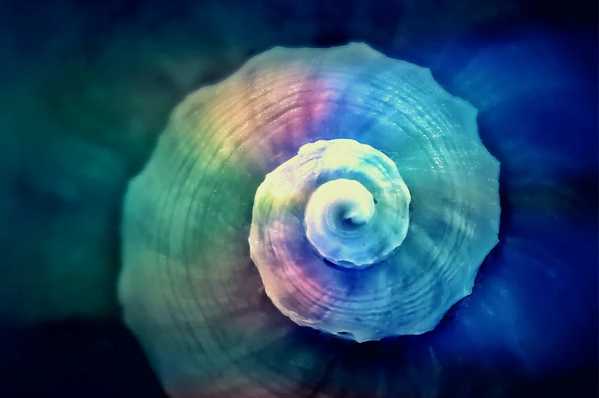 spiral pattern
