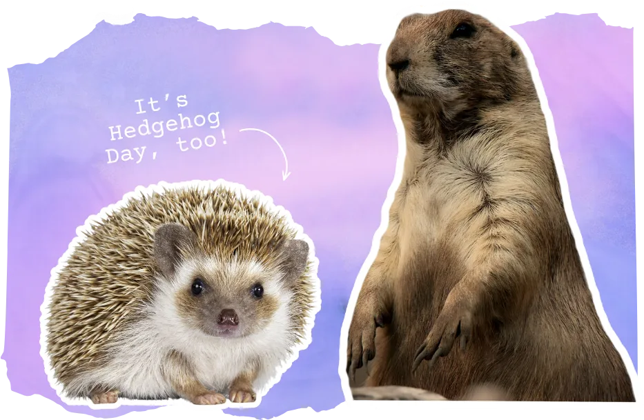 Groundhog Day