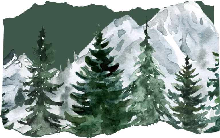 look for an evergreen day