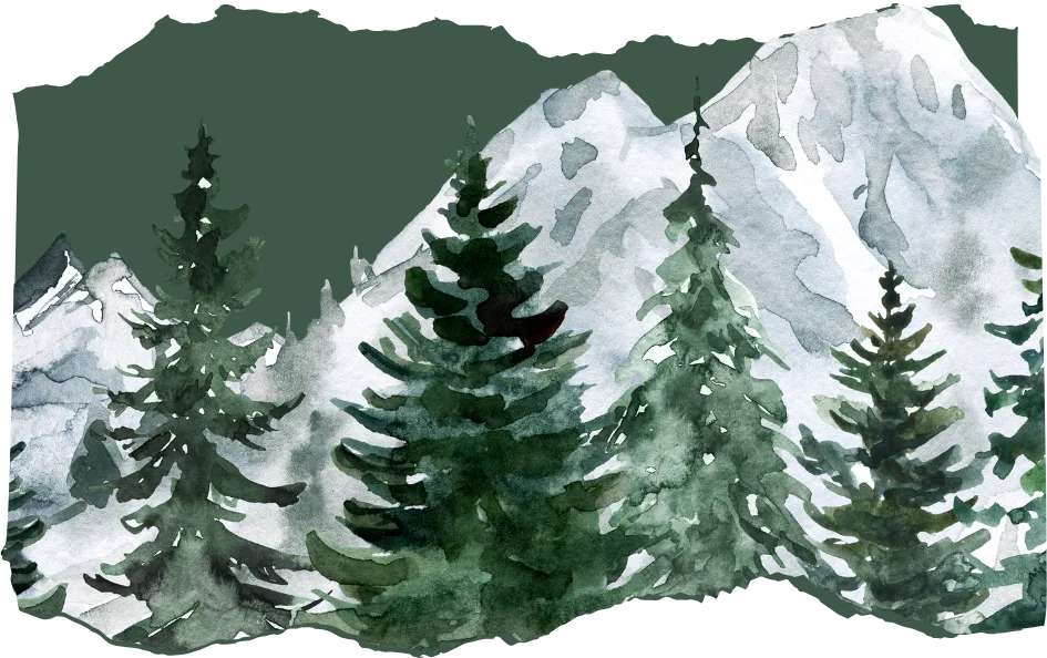 look for an evergreen day