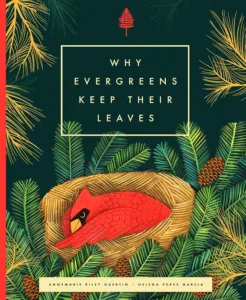 book cover of why evergreens keep their leaves