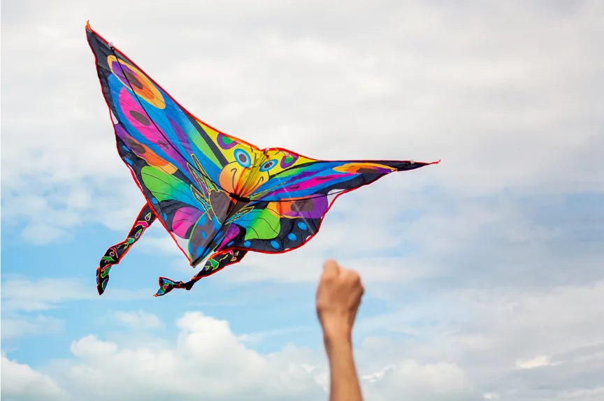 a colorful butterfly shaped kite